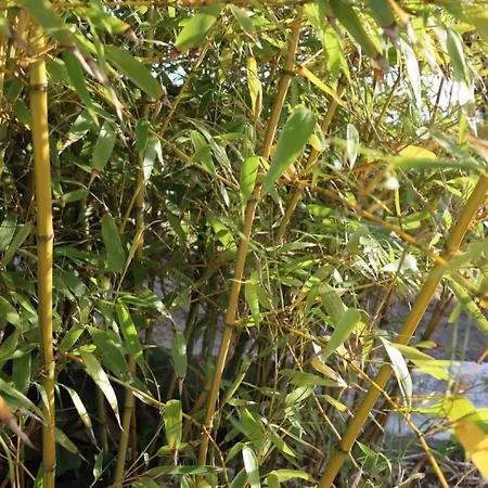 別荘 Quinta Do Carvalheiro Sobral de Monte Agraço