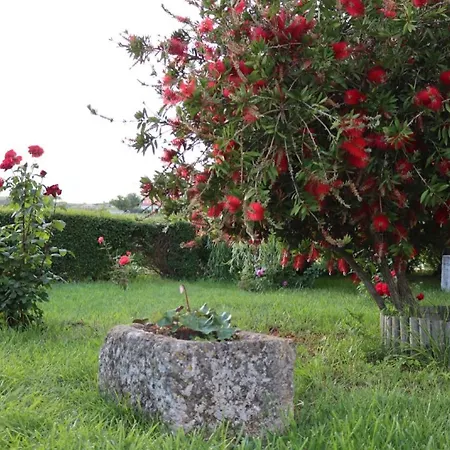Quinta Do Carvalheiro * Sobral de Monte Agraco